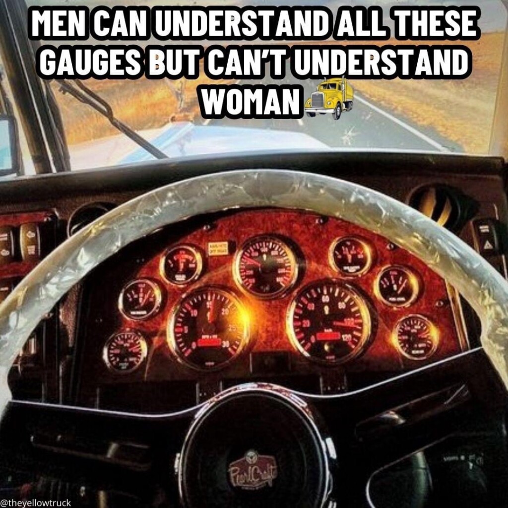 Decoding the Dashboard and the Mystique: Men, Car Gauges, and the Enigmatic Elegance of Women